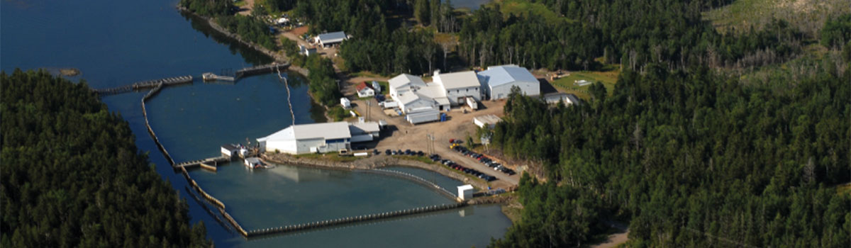 Paturel Facility nestled in the pristine Bay of Fundy